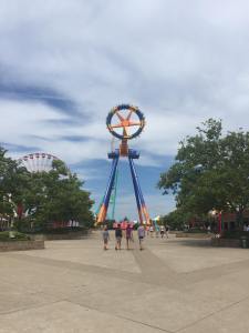 This will be the view from my bedroom. 